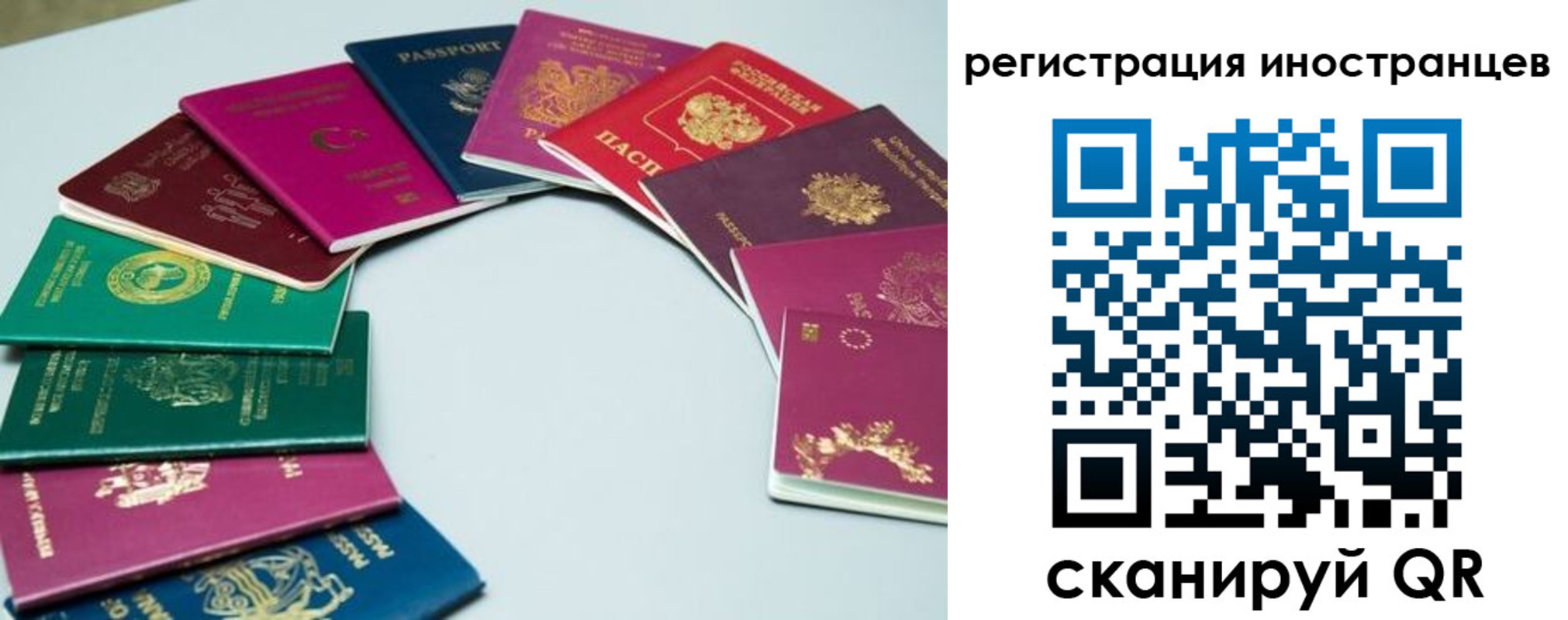регистрация в Кандалакше